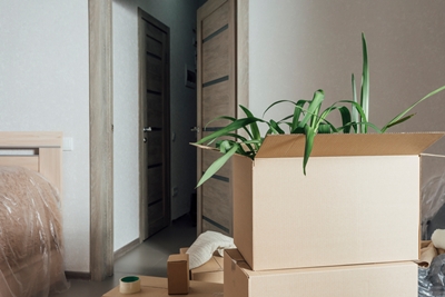 이천익스프레스 PC 이미지 3064155